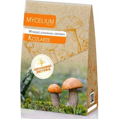Vybrané podhoubí Mycelium Leccinum