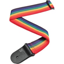 D'Addario Planet Waves PWS111 Polypropylene Rainbow