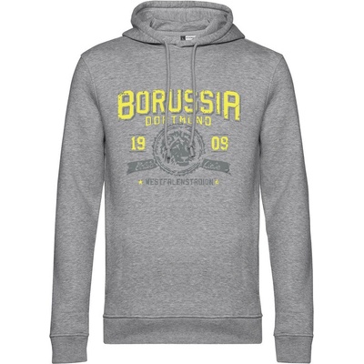 Superfutbal mikina Borussia sivá melírová