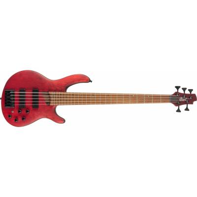 Cort B5 Element OPBR