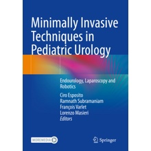 Minimally Invasive Techniques in Pediatric Urology