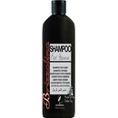Brizzolina Shampoo For Men šampon pro muže na vlasy a vousy 1000 ml