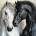 Norimpex - Puzzle Diamant painting: Black and white friendship 30x40cm - 1 - 39 piese