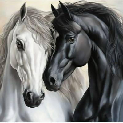 Norimpex - Puzzle Diamant painting: Black and white friendship 30x40cm - 1 - 39 piese