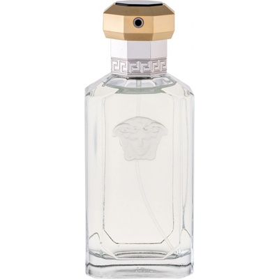 Versace The Dreamer toaletní voda pánská 100 ml