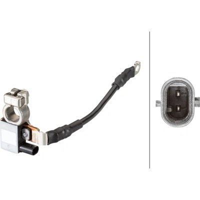 Senzor, management batérie HELLA 6PK 010 181-711 (6PK010181711)