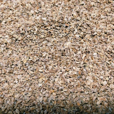 Mrkva na mikrozeleninu, 50 g