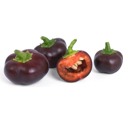 Veritable semenná náplň Lingot paprika čokoláda.