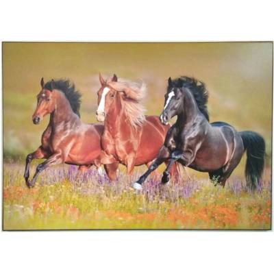Bondecor Obraz tisk na papír lepený na MDF desku, 70x100 cm, Koně