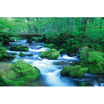 DIMEX ART Флизелинов фототапет горски поток 375 x 250 см