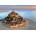Educa - Puzzle Mont Saint Michel from the Air - 1 000 piese