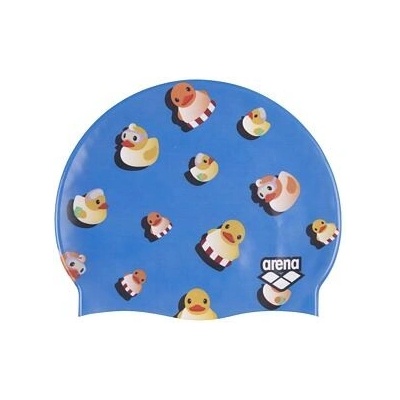 arena HD Ducks Print