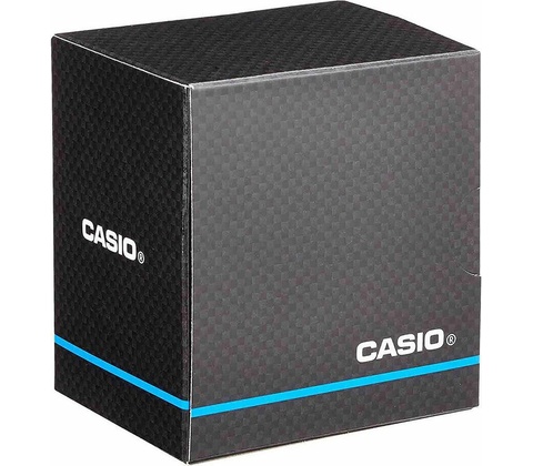 Casio WS-1500H-1A