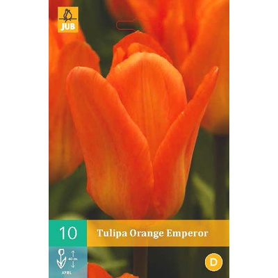 JUB Tulipán Orange Emperor
