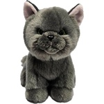 Silky Плюшена сива персийска котка