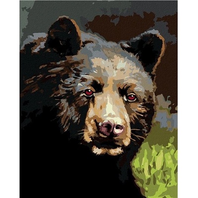 Zuty Malování Podle Čísel Portrét Medvěd D. Rusty Rust 80 x 100 Cm Plátno Rám