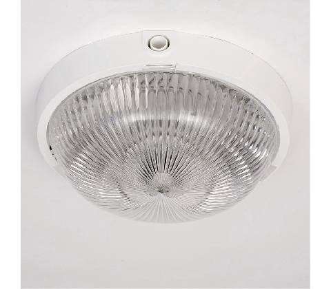 Lena 950520