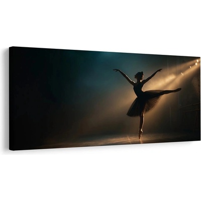 Obraz elegance tanečního umění - 80x40
