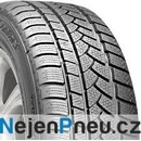 Continental WinterContact TS790 225/60 R17 99H