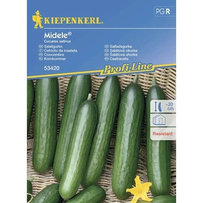 Okurka salátová Midele F1 Kiepenkerl