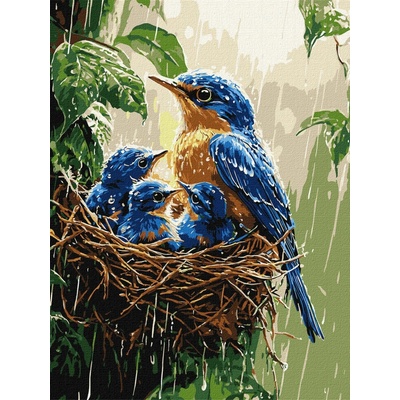 Ideyka Ideyka Malování podle čísel Jarní déšť 30 x 40 cm