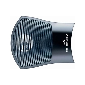 Sennheiser E901