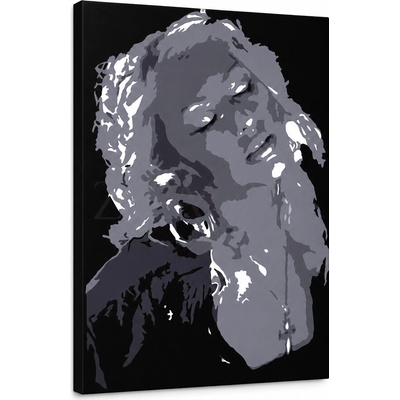 Ručne maľovaný POP Christina Aguilera - 30x40 cm