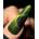 Saute Nails Cat Eye Effect E02 8 ml