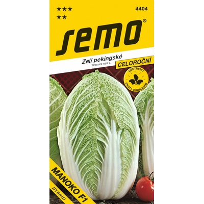 KAPUSTA PEKINGSKÁ celoročná Manoko F1