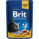 Brit Premium Cat Salmon & Trout 24 x 100 g