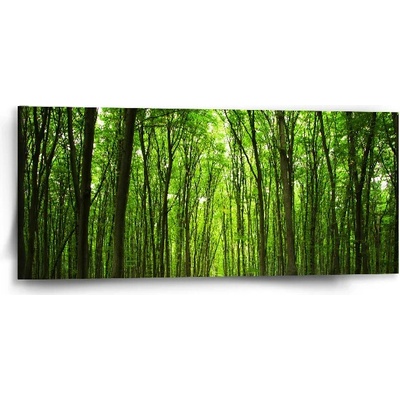 Sablio Obraz Cesta v lese - 110x50 cm