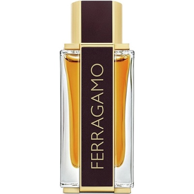 Salvatore Ferragamo Spicy Leather parfumovaná voda pánska 100 ml