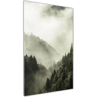 Vertikálny foto obraz sklenený Hmla nad lesom 50x100 cm