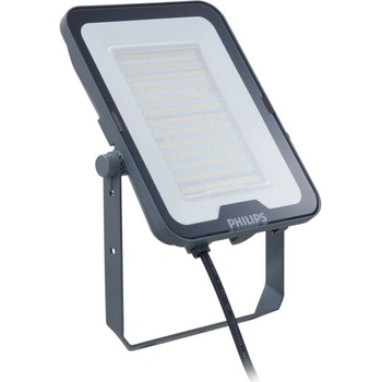 Philips BVP167