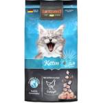 Leonardo Котенца 1, 8 кг