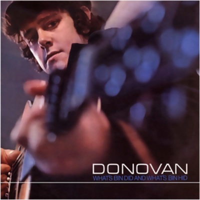 Donovan - What's Bin Did & What's Bin Hid (Blue Smoke Coloured) (LP) (819514012078)