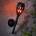 Garden of Eden 11262D