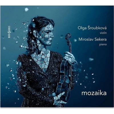 Mozaika