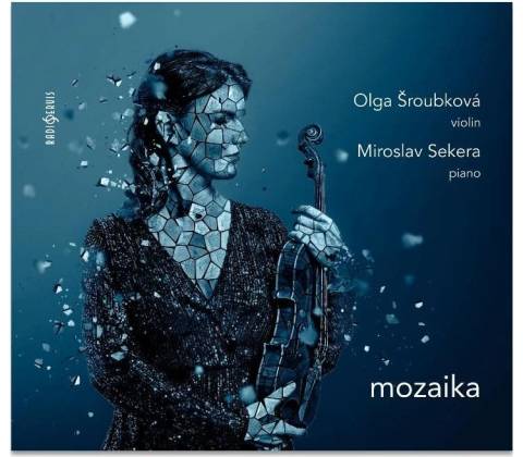 Mozaika