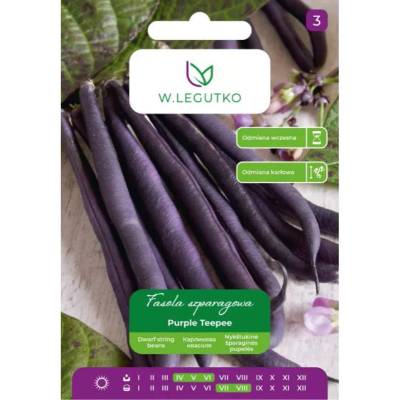 W. Legutko Лилави Teepee джуджета зелени бобчета - ранен сорт