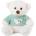 Амек Тойс Плюшена играчка Амек Тойс - Мече със зелена тениска, 20 cm (010189-1)