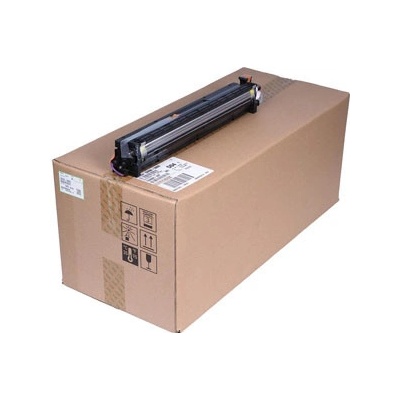 Ricoh D2393063 - originálny