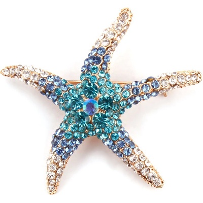 Gaira brož hvězdice 312212-18