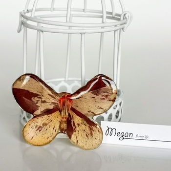 Meganflo Брошка пеперуда от роза