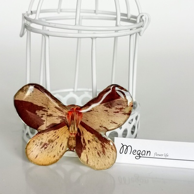 Meganflo Брошка пеперуда от роза
