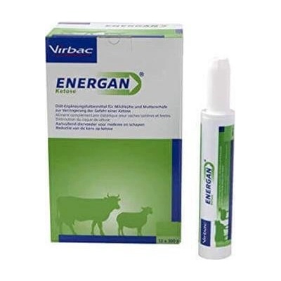 Energan Ketos pst 12 x 300 g