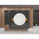 Nedes LPL121