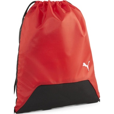 PUMA teamGOAL 090240-03