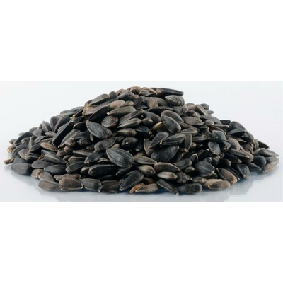 Biostan Slnečnica čierna 5 kg
