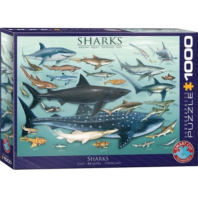 EuroGraphics Jigsaw Sharks 1000 dílků